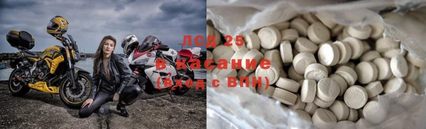 спайс Богданович