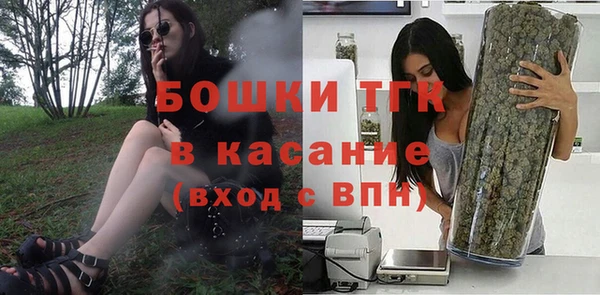 спайс Богданович
