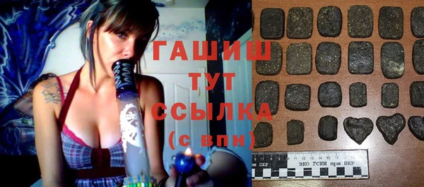 2c-b Бородино