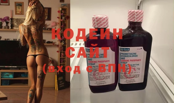 2c-b Бородино