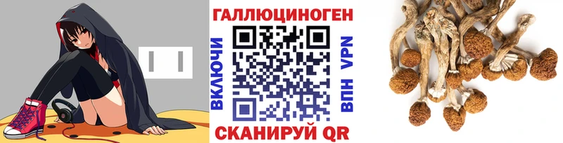 Галлюциногенные грибы GOLDEN TEACHER Валуйки