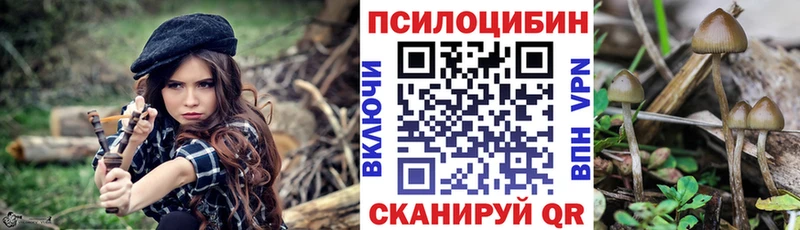 Галлюциногенные грибы мицелий  Валуйки 