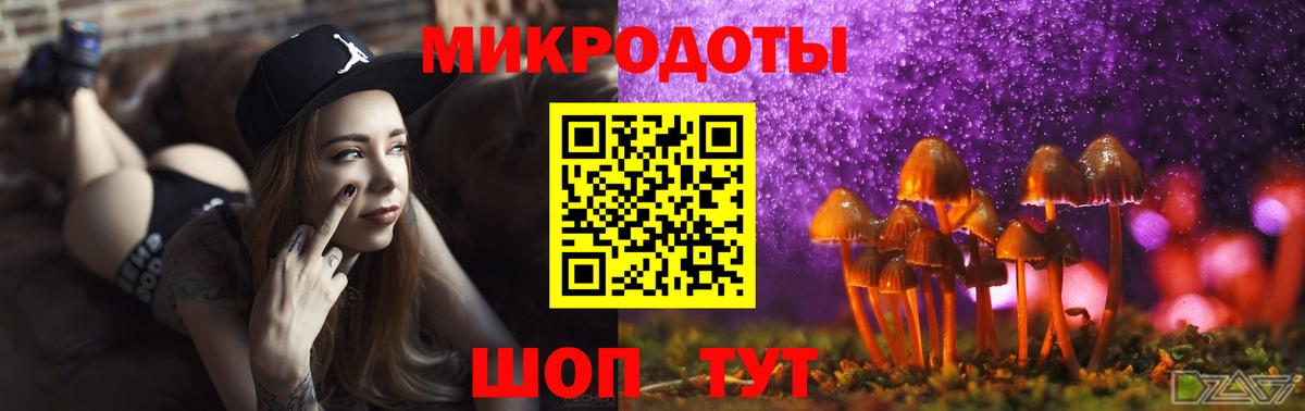 Псилоцибиновые грибы MAGIC MUSHROOMS  Вход с VPN  Валуйки 
